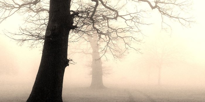 1080x1920 Dark Creepy Scary Horror Evil Art Artwork Wallpaper - Creepy