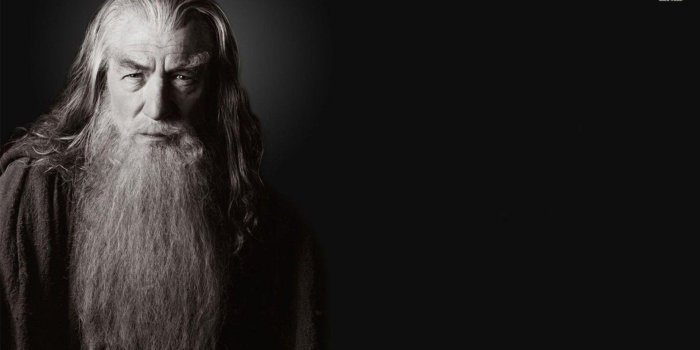 1920x1080 Albus Dumbledore Wallpapers