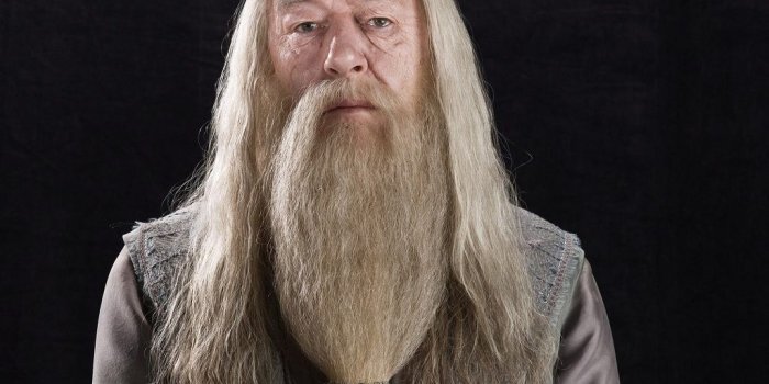 1024x768 Albus Dumbledore Wallpaper - Hogwarts Professors Wallpaper (32797138