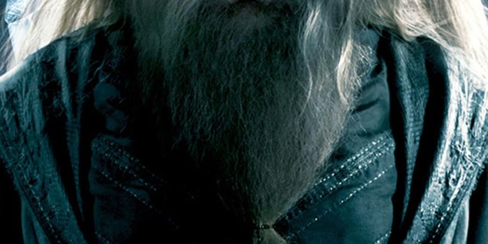 1440x2560 Harry Potter And Dumbledore Wallpapers