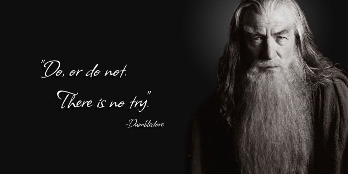 1600x900 2972078 gandalf albus dumbledore yoda ian mckellen harry potter