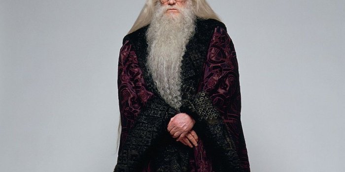 1024x768 Albus Dumbledore Wallpaper in 2019 | HP Halloween | Harry potter