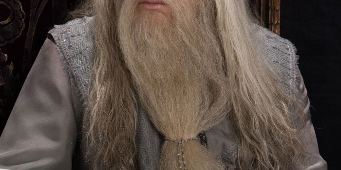 2000x2667 harry potter warner bros albus dumbledore cast michael gambon