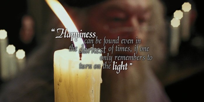 1920x1080 Albus Dumbledore Wallpapers (71+ pictures)
