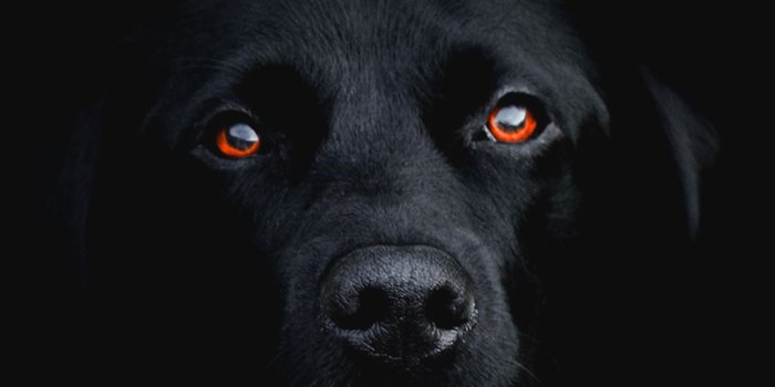 1080x1920 Black Phone Wallpaper (47+), Download 4K Wallpapers For Free