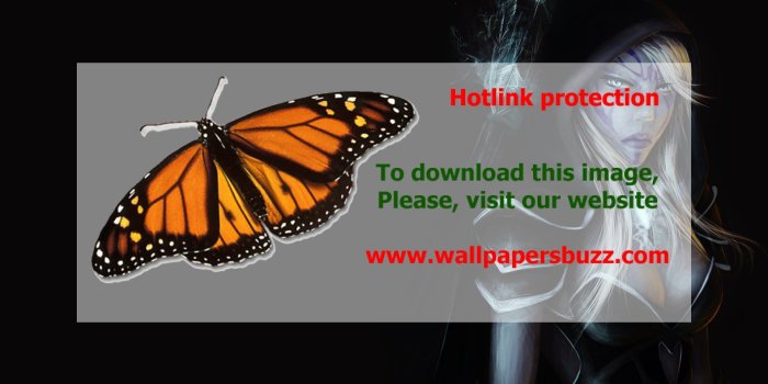 1920x1080 Traxex the Drow Ranger HD Wallpaper