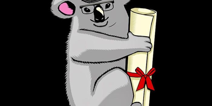 1028x1920 20+ Funny iPhone Wallpapers for iPhone 6s/6/5s/5