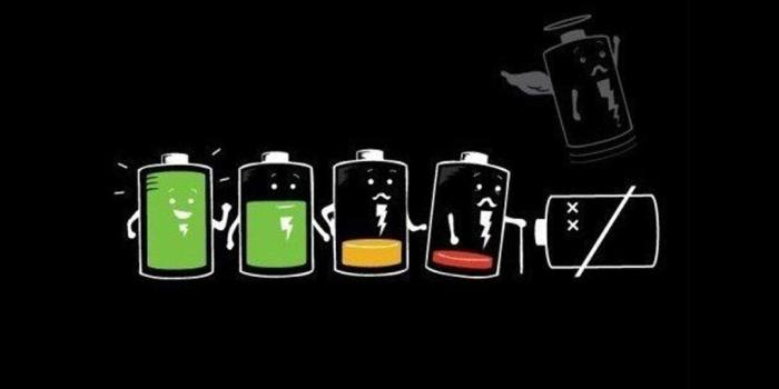 1080x1920 Funny Phone Wallpapers - Top Free Funny Phone Backgrounds