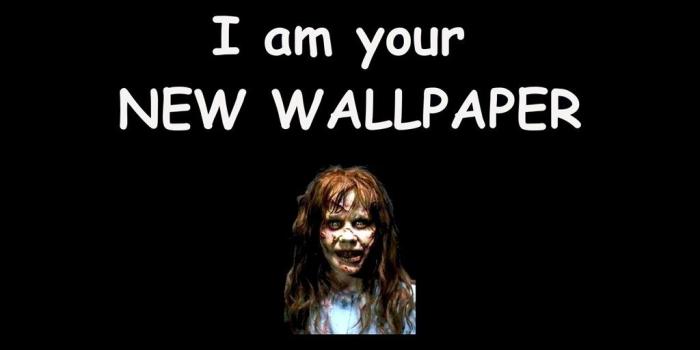 1024x768 World's Funniest Wallpapers Desktop Background