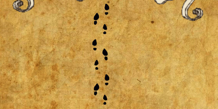 1440x1440 Mischief Managed Font. What tattoos look like years later | Monagiza