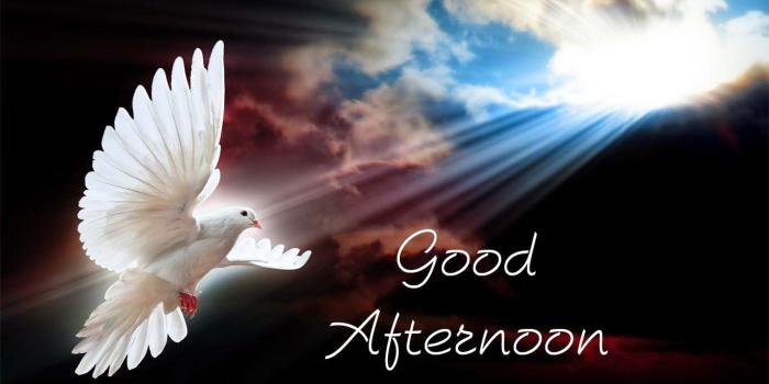 1366x768 Good Afternoon Wallpapers