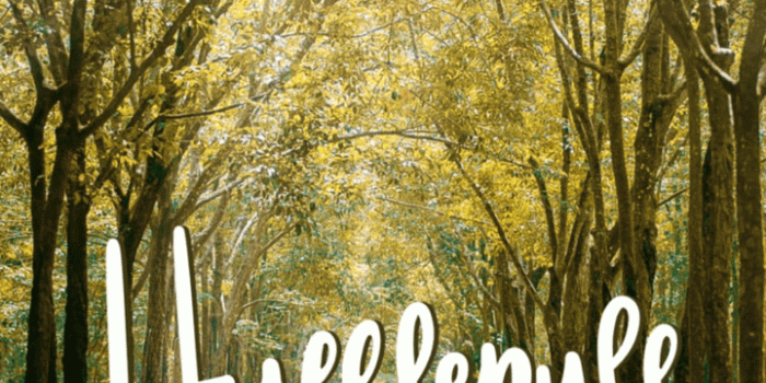 720x1280 Hogwarts House Habits