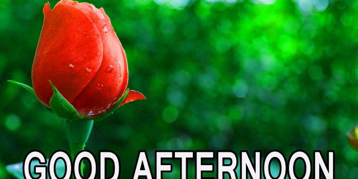 1920x1080 Good Afternoon Images Wallpaper Photo Pictures Free - Good Afternoon