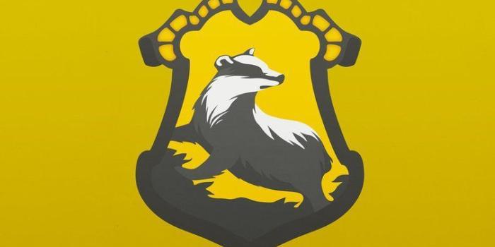 755x1057 Harry Potter Hufflepuff iPhone Wallpapers - Top Free Harry Potter