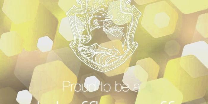 744x1392 Harry Potter Hufflepuff iPhone Wallpapers - Top Free Harry Potter