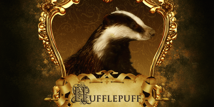 900x973 Harry Potter Hufflepuff Wallpapers