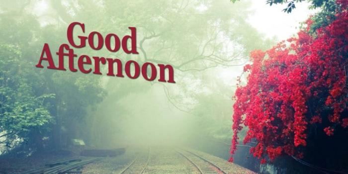1880x1253 Good Afternoon Images Love,wishes,pictures,quotes,messages - Do Pal