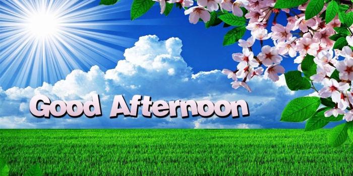 1366x762 Good Afternoon Images, Quotes, Gifs and Wallpapers