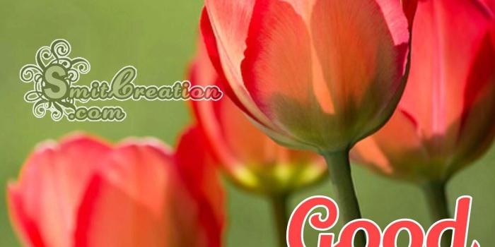 1969x1999 Good Afternoon Flower Pictures and Graphics - SmitCreation.com