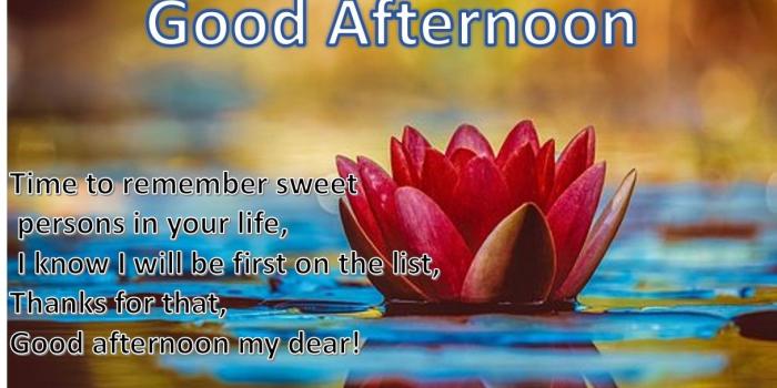 1215x821 Good Afternoon Images, Photos & HD Wallpapers - Fragmented