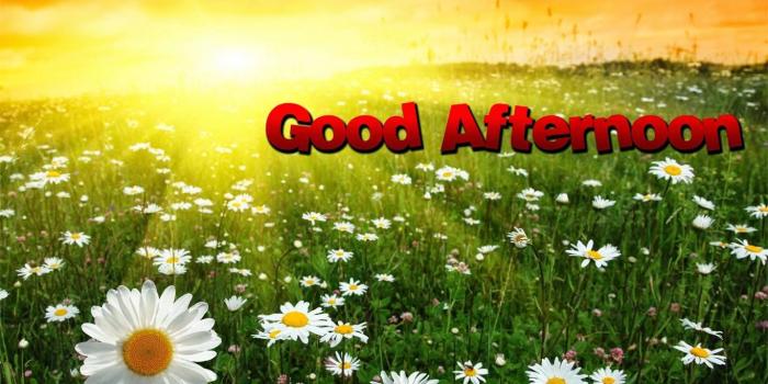 1366x768 Good Afternoon Pictures, Images & Gallery Collection | Amazing Photo