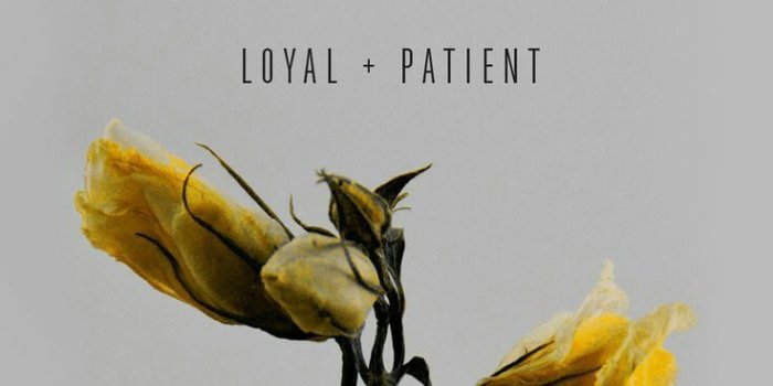 736x1308 My best | my background | Hufflepuff wallpaper, Harry potter