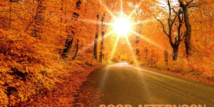 1920x1200 Good Afternoon Wallpapers