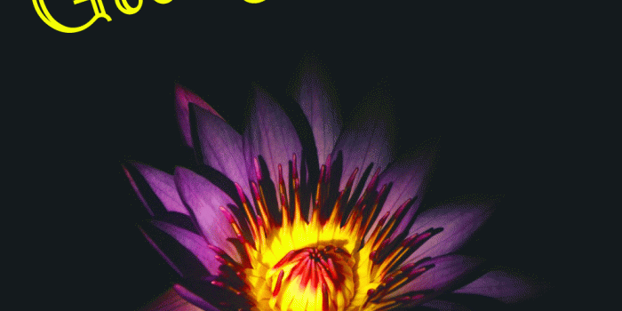 1000x1250 352+ गुड आफ्टरनून Good Afternoon Images Wallpaper Photo