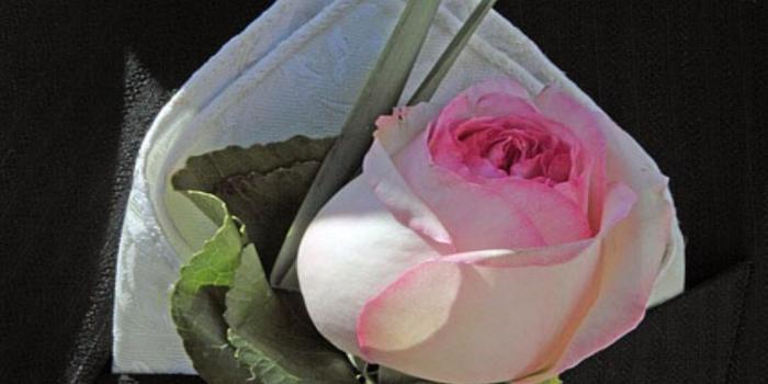 1080x1393 Good Afternoon Wallpaper - Dignity Of The Human (#107021) - HD