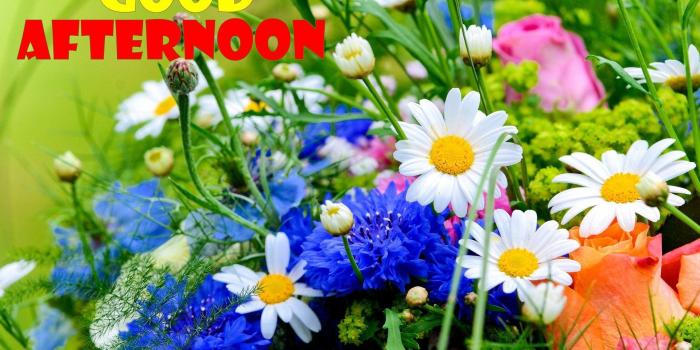 1920x1200 Good Afternoon Wallpapers