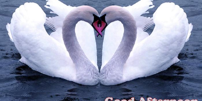 1920x1200 Download Good Afternoon Wallpaper (49) - mariacenoura.pt