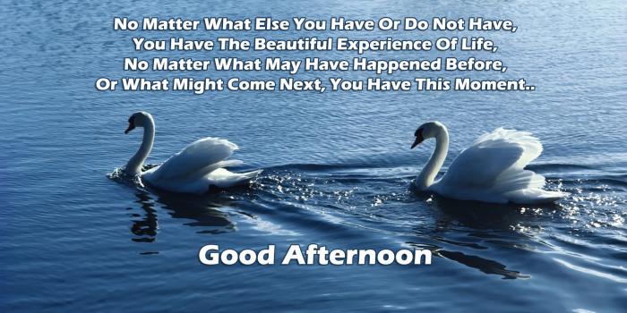 1920x1080 Good Afternoon Images Pictures Photos | Good Afternoon Messages