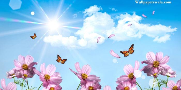 1920x1200 29+ Afternoon Wallpapers