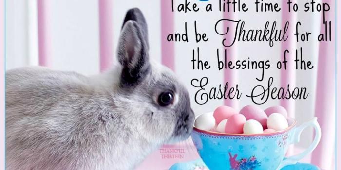 960x960 A Super Unique Collection of 60+ Good Afternoon Images