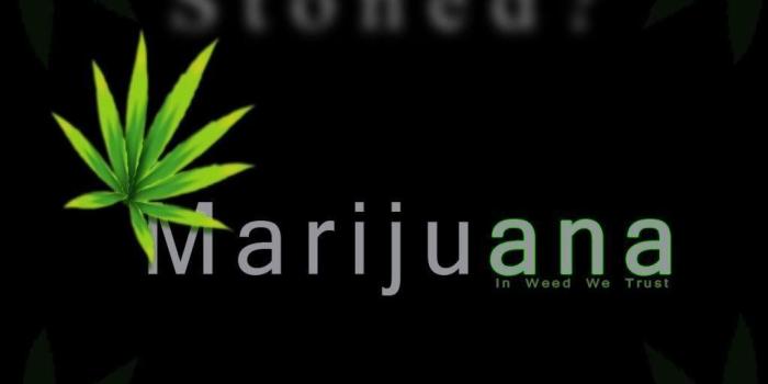 1024x819 Weed Wallpapers Desktop