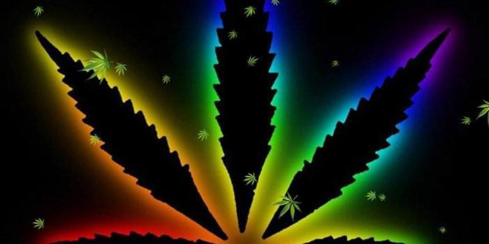 1080x1920 Falling Weed Live Wallpaper for Android - APK Download