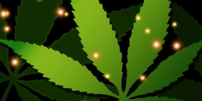 1080x1920 Falling Weed Live Wallpaper for Android - APK Download