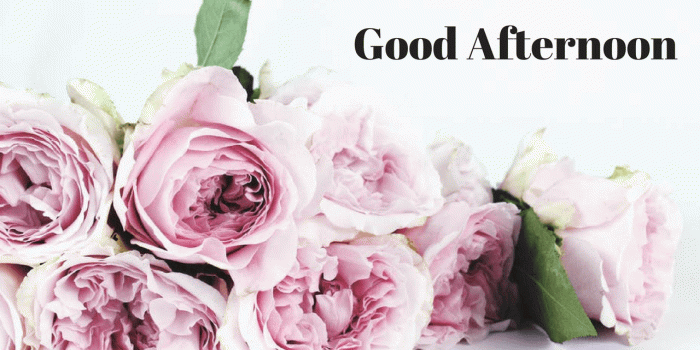 1280x720 Good Afternoon Flower Pics - Classycloud.co