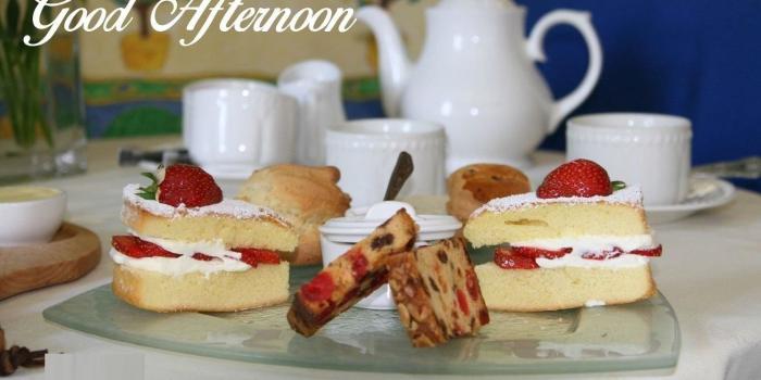 1494x1030 Good afternoon images free download Gallery