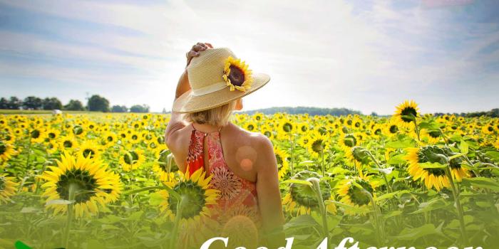 1920x1280 Good Afternoon Quotes,Wishes,Message With Images,Photos (999+ New)