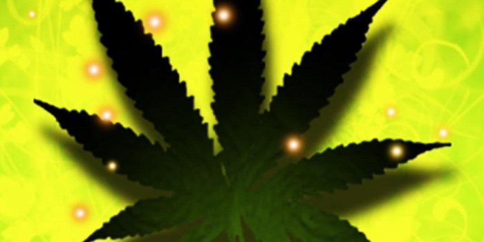 1080x1920 Falling Weed Live Wallpaper for Android - APK Download