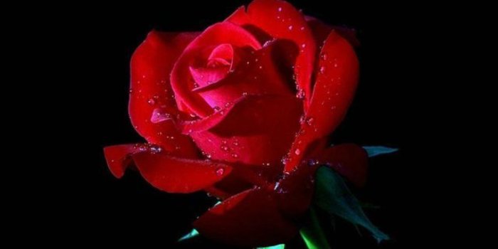 1368x855 Aesthetic Wallpaper Dark Red – Free Download Wallpaper