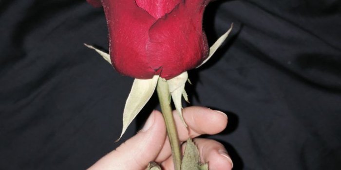 768x1024 Aesthetic Rose Gold Bedroom Grunge – Ecoamazonico