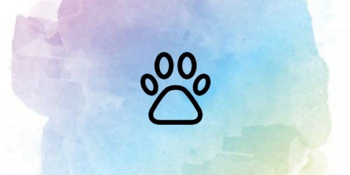 794x1123 Celine Marielle (celinebertheuss)