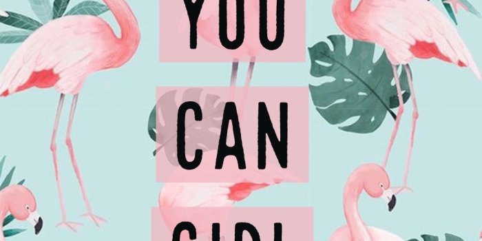 1080x1920 Wallpaper, Background, Cute, Instagram, Tumblr, Iphone, - Flamingo