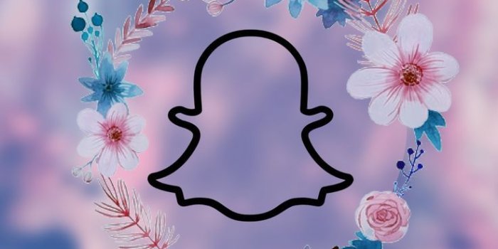 736x1308 cafa2772 hd wallpaper