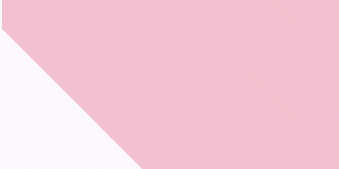 735x1102 Minimalist background. Cactus background | Instagram Story Templates