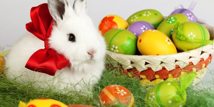 1600x1200 49+] Free Easter Wallpapers for Desktop on WallpaperSafari