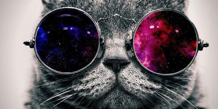 1426x1200 Download Galaxy Cat wallpaper now. Browse millions of popular