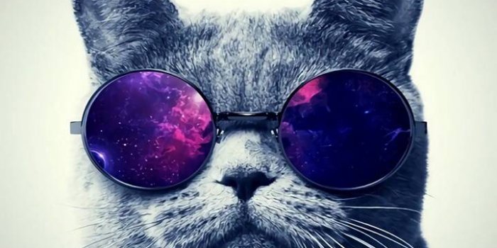 720x1280 Galaxy cat Wallpaper by CrySolvent - c4 - Free on ZEDGE™